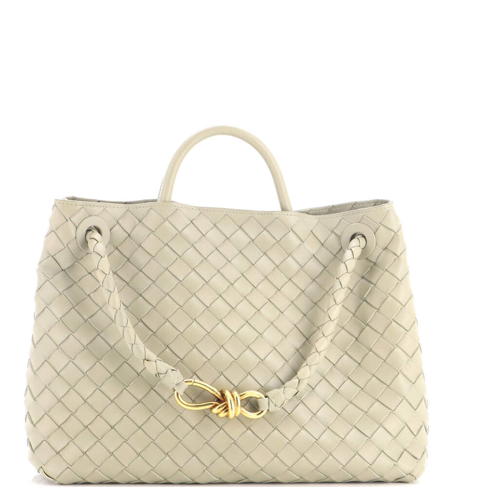 Bottega Veneta Medium Andiamo Top Handle Bag